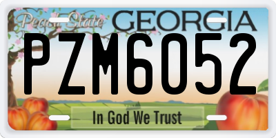 GA license plate PZM6052
