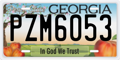GA license plate PZM6053