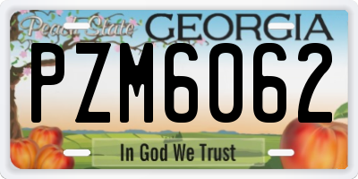 GA license plate PZM6062