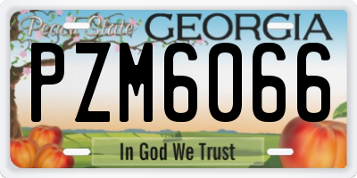 GA license plate PZM6066