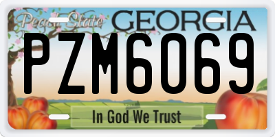 GA license plate PZM6069