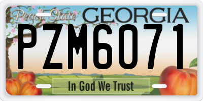 GA license plate PZM6071