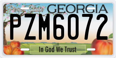 GA license plate PZM6072