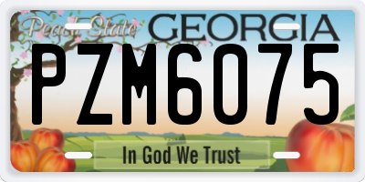 GA license plate PZM6075