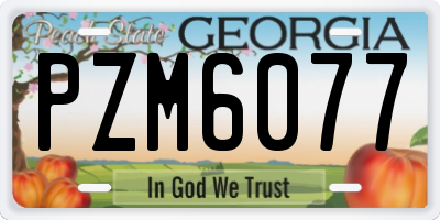 GA license plate PZM6077