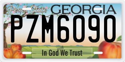 GA license plate PZM6090