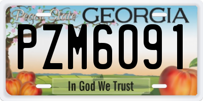 GA license plate PZM6091