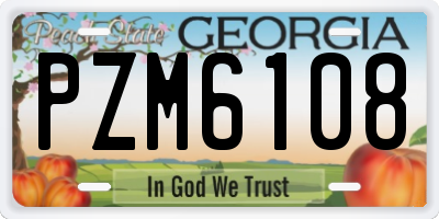 GA license plate PZM6108