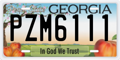 GA license plate PZM6111