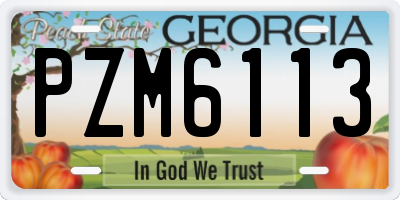 GA license plate PZM6113