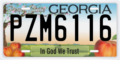 GA license plate PZM6116