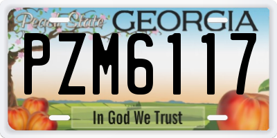 GA license plate PZM6117