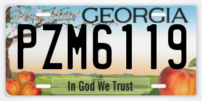 GA license plate PZM6119