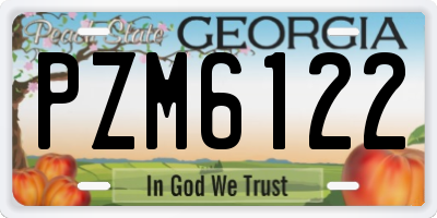 GA license plate PZM6122