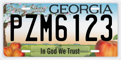 GA license plate PZM6123