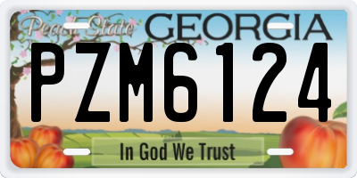 GA license plate PZM6124
