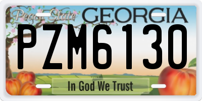GA license plate PZM6130
