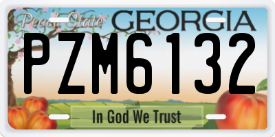 GA license plate PZM6132
