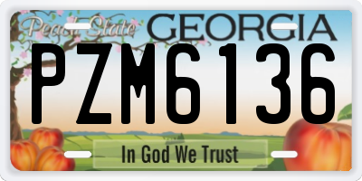 GA license plate PZM6136