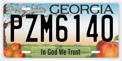 GA license plate PZM6140