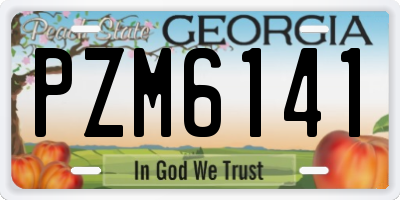 GA license plate PZM6141