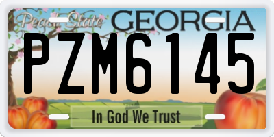 GA license plate PZM6145