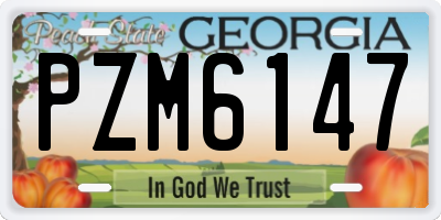 GA license plate PZM6147