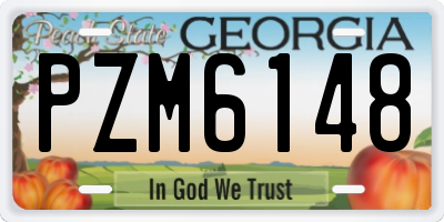 GA license plate PZM6148