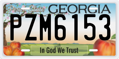 GA license plate PZM6153
