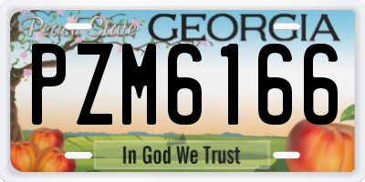 GA license plate PZM6166