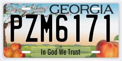 GA license plate PZM6171