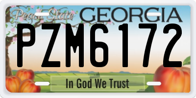 GA license plate PZM6172