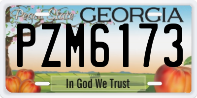 GA license plate PZM6173