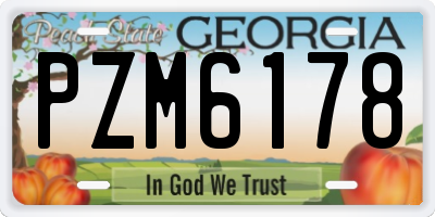 GA license plate PZM6178