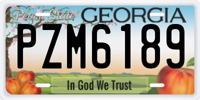 GA license plate PZM6189