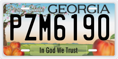 GA license plate PZM6190