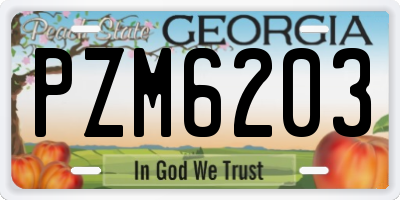 GA license plate PZM6203