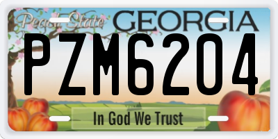 GA license plate PZM6204