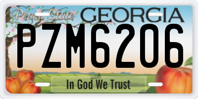 GA license plate PZM6206