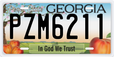GA license plate PZM6211