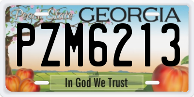 GA license plate PZM6213