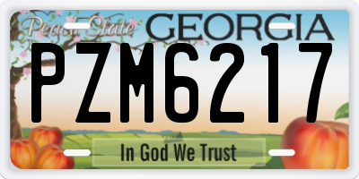 GA license plate PZM6217