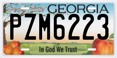 GA license plate PZM6223