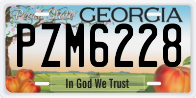 GA license plate PZM6228