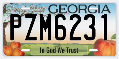 GA license plate PZM6231
