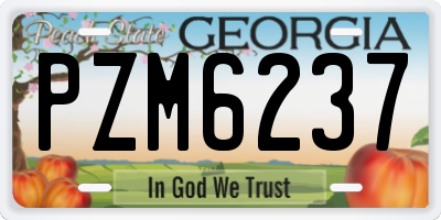 GA license plate PZM6237
