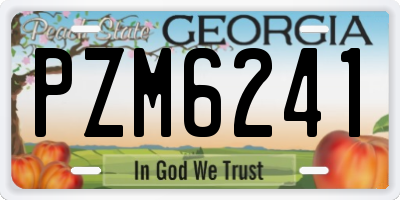 GA license plate PZM6241
