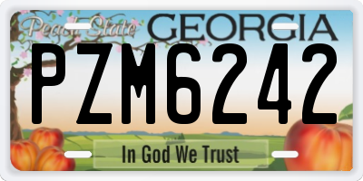 GA license plate PZM6242