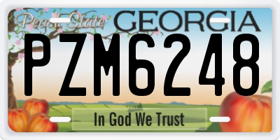 GA license plate PZM6248