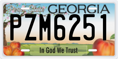 GA license plate PZM6251
